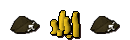 SearchyDonorRank